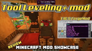 Minecraft 1.16.5 - Tool Leveling+ mod