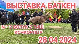 ВЫСТАВКА БАТКЕН N-° 2 БӨЛҮК 2 ТИШТЕР 👍🤝🇰🇬