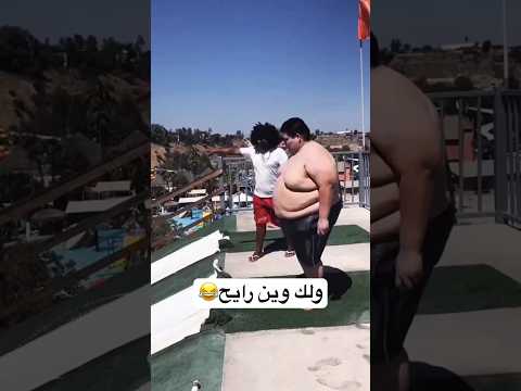 ولك وين رايح       