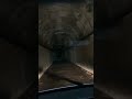 【危険】呪われ車..衝撃結末... Cursed car...Shocking Conclusion【心霊スポット】