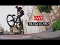 CULTCREW | PANZA IS PRO