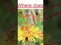 #ctetpaper2 #ctetsciencepaper2 #tgt #class6sciencechapter1 #class6ncert #vocab #biology #ctetexam