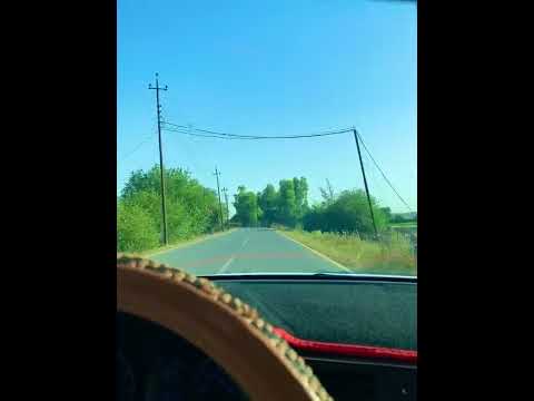 يالغرام اللي لعبة بحسبة القلب العليل تصويري ستوريات حالات واتس غابات الموصل شيلات 