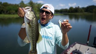 Urban Lake Bass Fishing