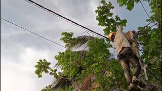 Fault detection and rectification in low tension overhead lines