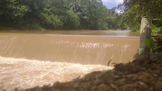 Download Lagu DJ VIRAL TIKTOK TERBARU 2025 | KATANYA CINTA TAK BUTUH RUPA | CINTA DARI SEBERANG FULL ALBUM🔥 MP3