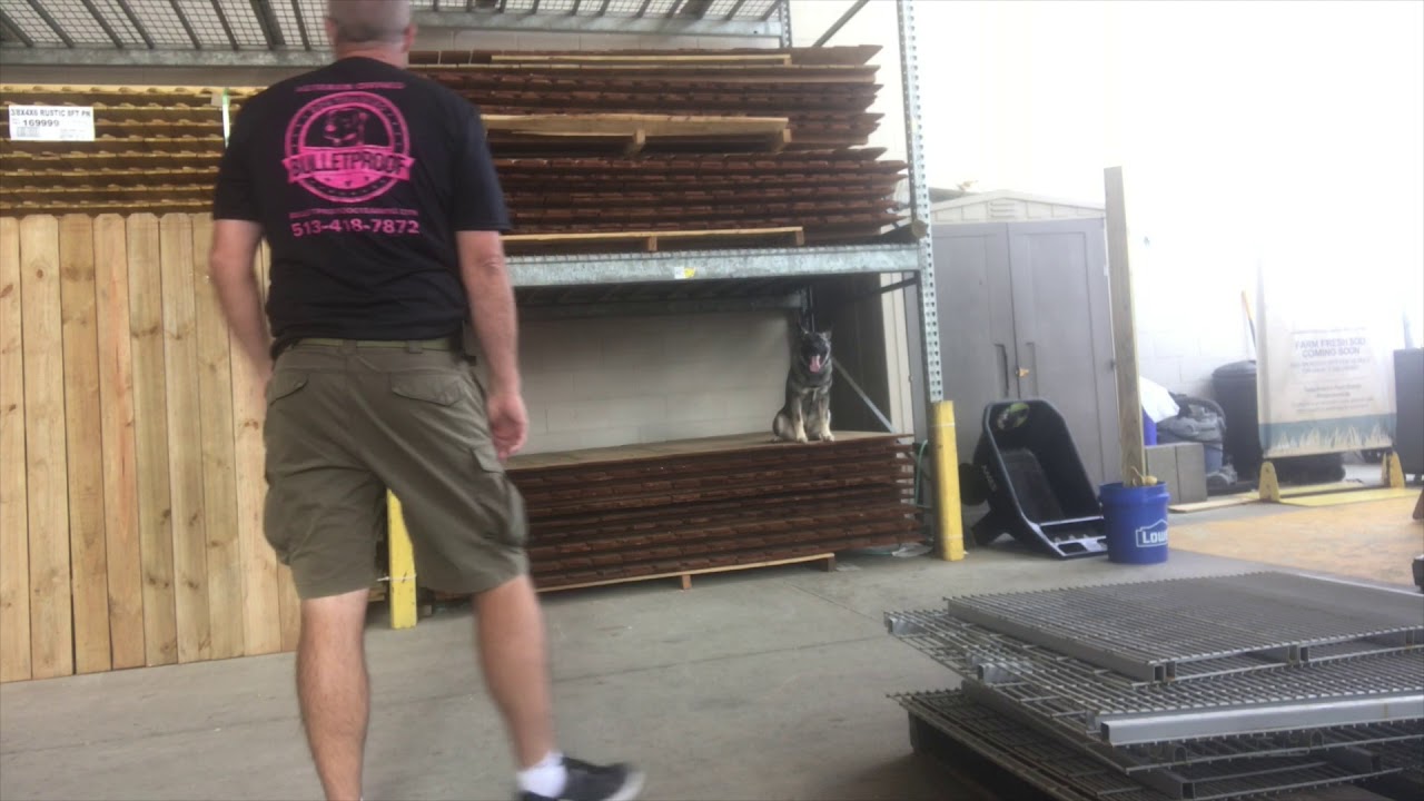 AMAZING TRANSFORMATION OF 