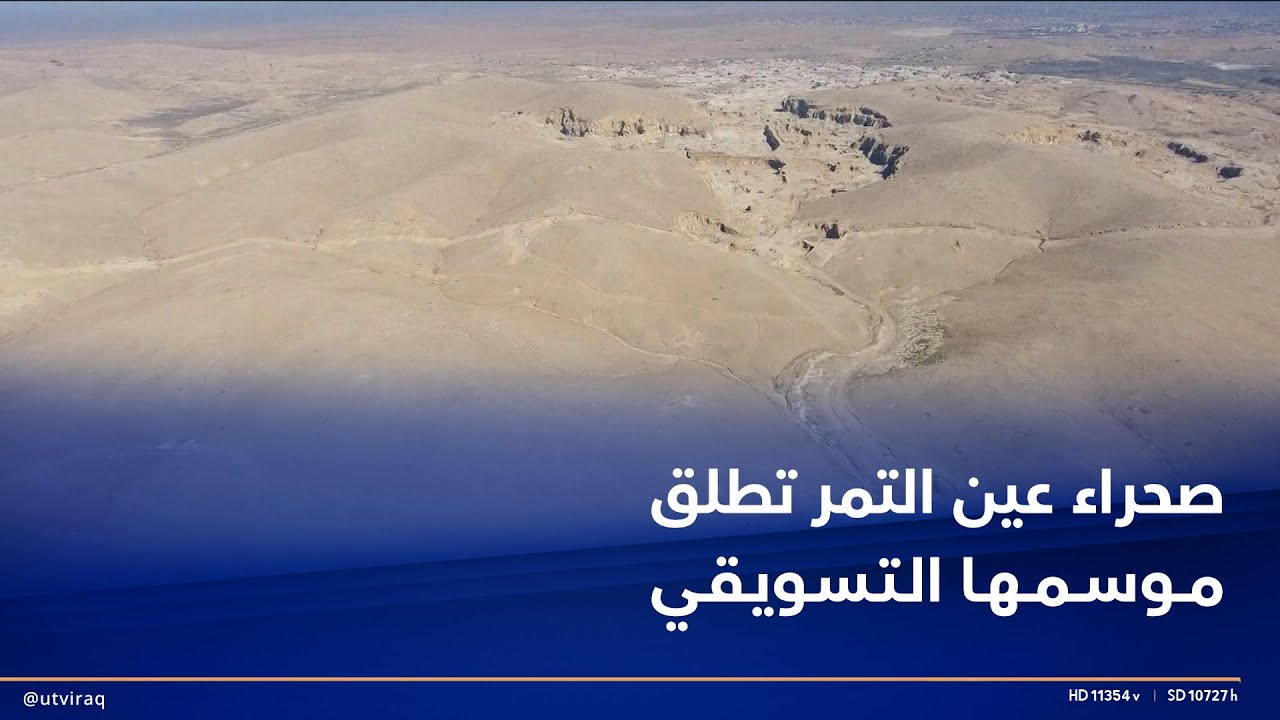 صحراء عين التمر تطلق موسمها التسويقي ومسؤولو كربلاء يتوقعون إنتاج 125 ألف طن من الحنطة