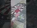 #accessories