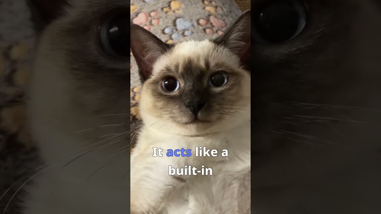 Did you know cats have three eyelids?