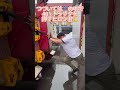 ヒロシ君のパワーシリーズ💪😁トラック押してみた🚚