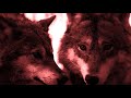 Viking Music - Wolf Spirit (Official Video)