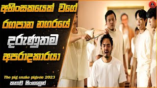 මේකනම් පට්ටම පට්ට වෙනස්ම විදිහේ කතාවක් sinhala dubbed story review lk voice