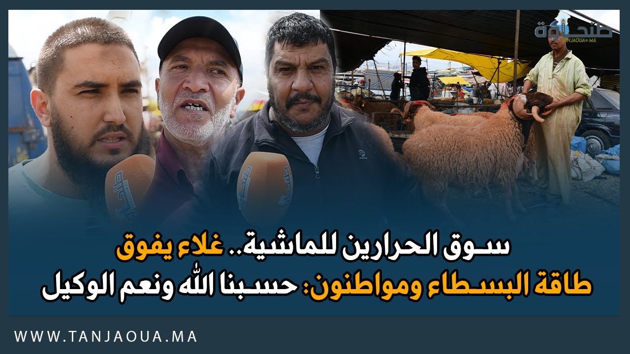 سوق الحرارين للماشية.. غلاء يفوق يفوق طاقة البسطاء ومواطنون: حسبنا الله ونعم الوكيل