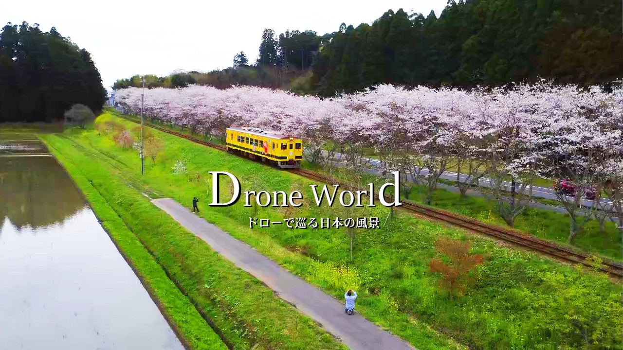 【桜と菜の花といすみ鉄道他】春に成ると訪問したくなるのが千葉県です♪【千葉県内】