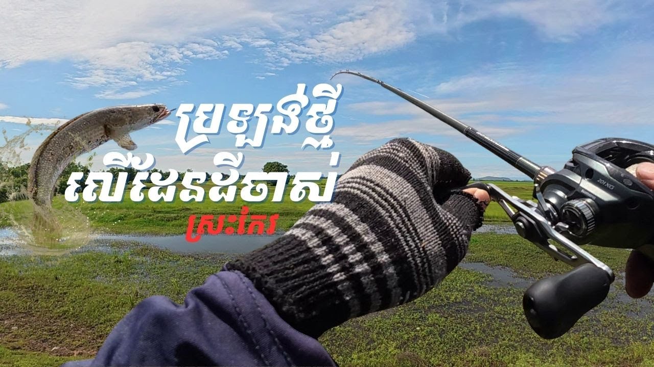 បបក់ត្រី នៅស្រះកែវ🎣