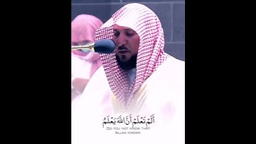 القارئ الشيخ د.#ماهر_المعيقلي_سورة_الحج اكتب شئ تؤجر عليه