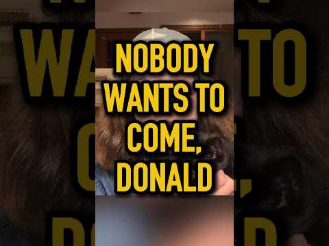 Nobody's Coming, Donald shorts