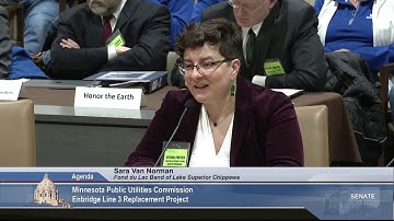 Enbridge Line 3 Oil Pipeline Replacement Certificate of Need, Routing