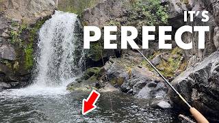 I Fished a Honey Hole Under a Waterfall! (Tenkara Fly Fishing)