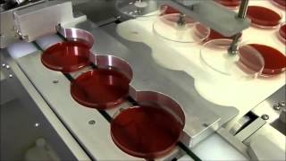 Petri Kutusunda Besiyeri Üretimi