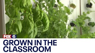 Hydroponics education in action at Waukesha North High School | FOX6 News Milwaukee