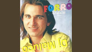 Video thumbnail of "DJ Maluco - Forró da Piranha"