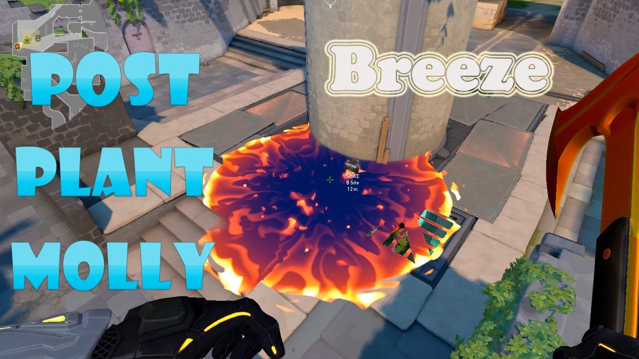 Brimstone Post Plant Molly Lineup On Breeze 