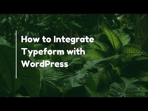 How to Integrate Typeform with WordPress