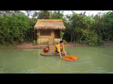 Vídeo: Floresta Como Ambiente Natural