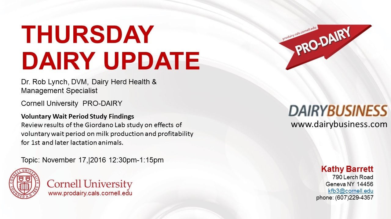 Cornell ProDairy Thursday Dairy Update. Voluntary Wait Period Study