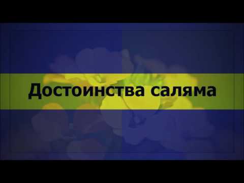 Достоинства саляма (Ключ Счастья)  || Абу Яхья Крымский
