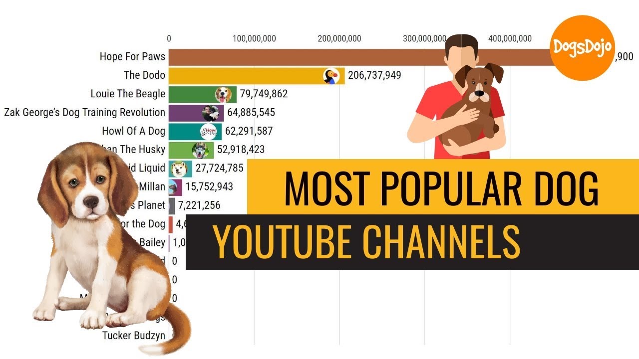 Most Popular Dog YouTube Channels You Must Watch (The Dodo