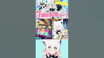 白上フブキ テトリス Cover Cute Vtuber Hololive ホロライブ 白上フブキ 白上フブキ切り抜き Fubuki テトリス 重音テト 7周年 