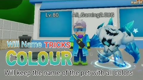 Blockman go Trainers Arena S2 || #77 All Pet!🥰 Name COLOUR Will keep!! TRICKS?