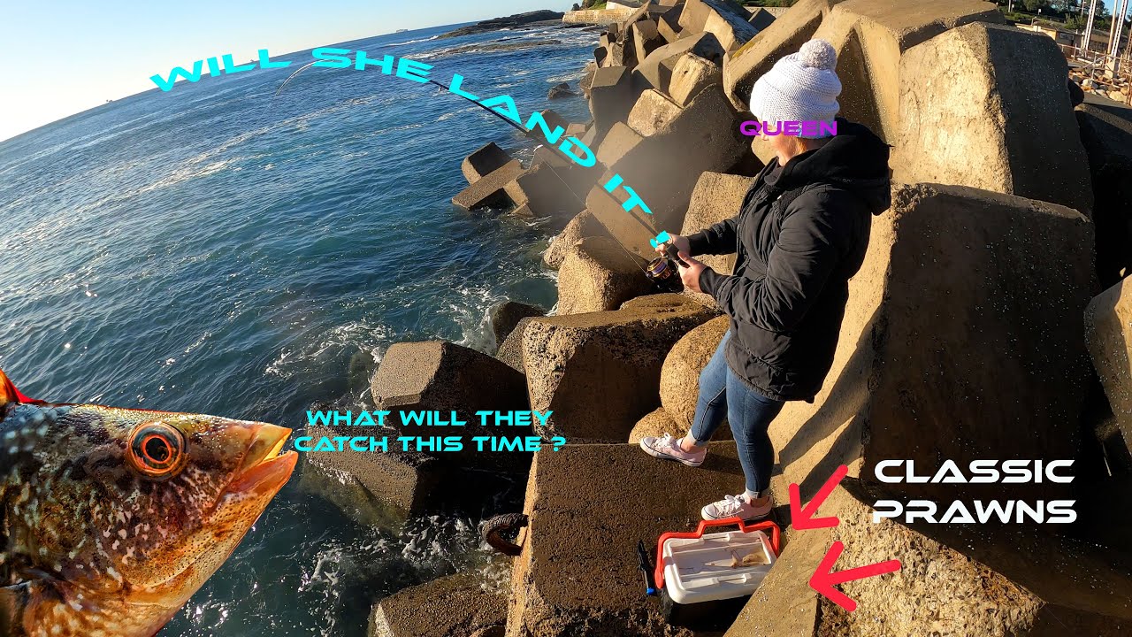 Big bait.. Big Fish ? Wollongong Wall Fishing YouTube