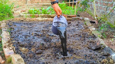 Struggling with poor soil -Transform Your Soil in MINUTES! Try This Easy Fix