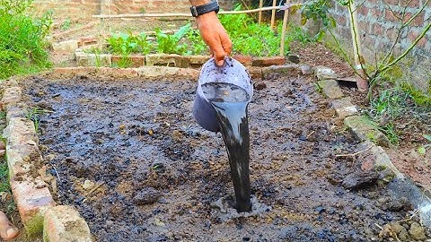 Struggling with poor soil -Transform Your Soil in MINUTES! Try This Easy Fix
