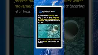 How Experts Find Hidden Pool Leaks Fast! 🏊‍♂️ #PoolRepair #LifeHacks #OddlySatisfying