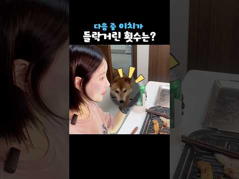 [1탄] 얼마나 들어오고 싶은 건지 감도 안 옴 thumbnail