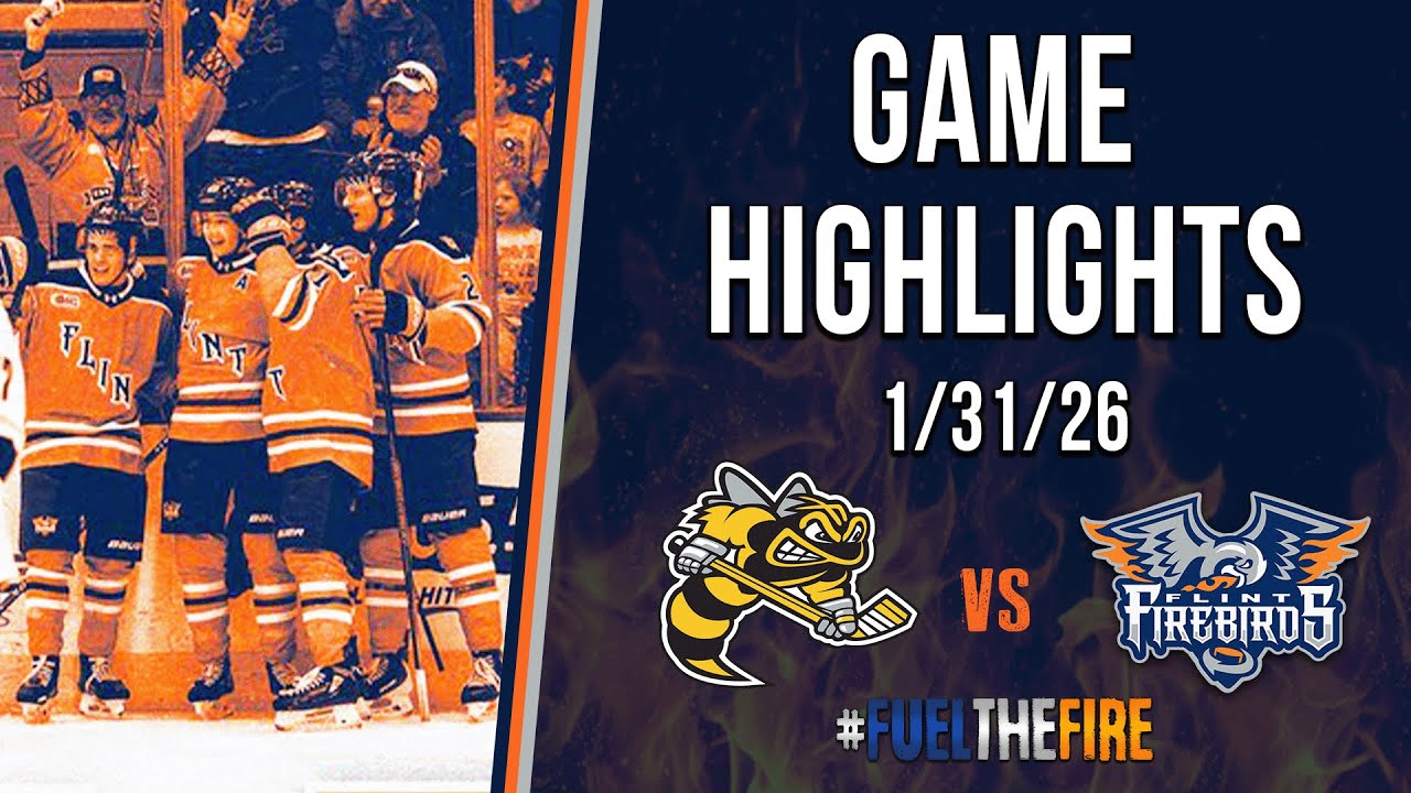 HIGHLIGHTS - Sarnia Sting vs Flint Firebirds - 1/31/26