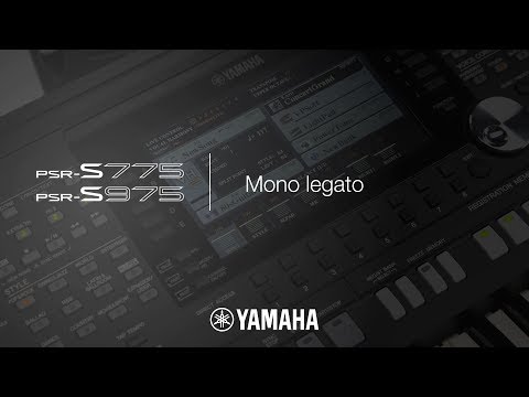 Video 11