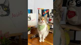 Quiero un novio que valga oro 🤩🤩!!