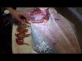 (HD) Filetieren eines Heilbutts - how to clean halibut