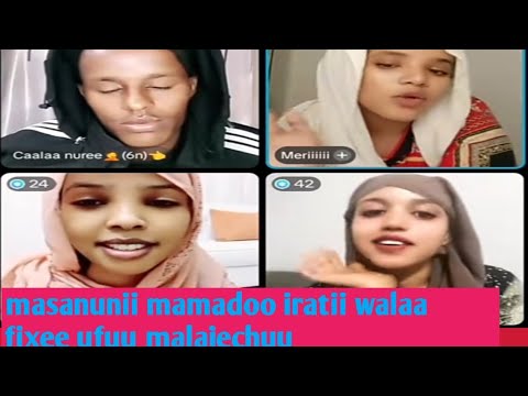 Masanunii Mamadoo Iratii Walaa Fixee Ufuu Malajechuu 