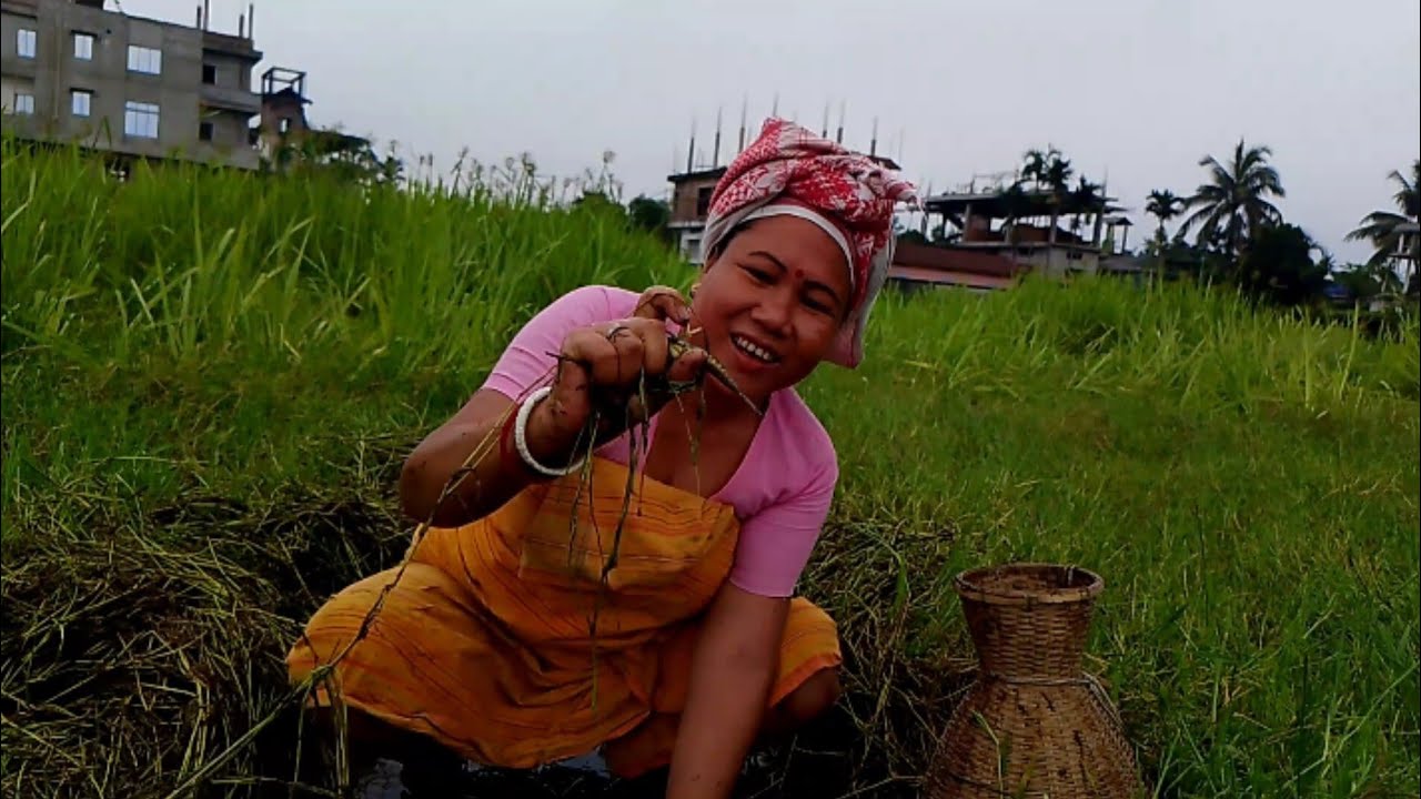 Na sarhwilaibai lwgwpwr adwijwg madwijwg 