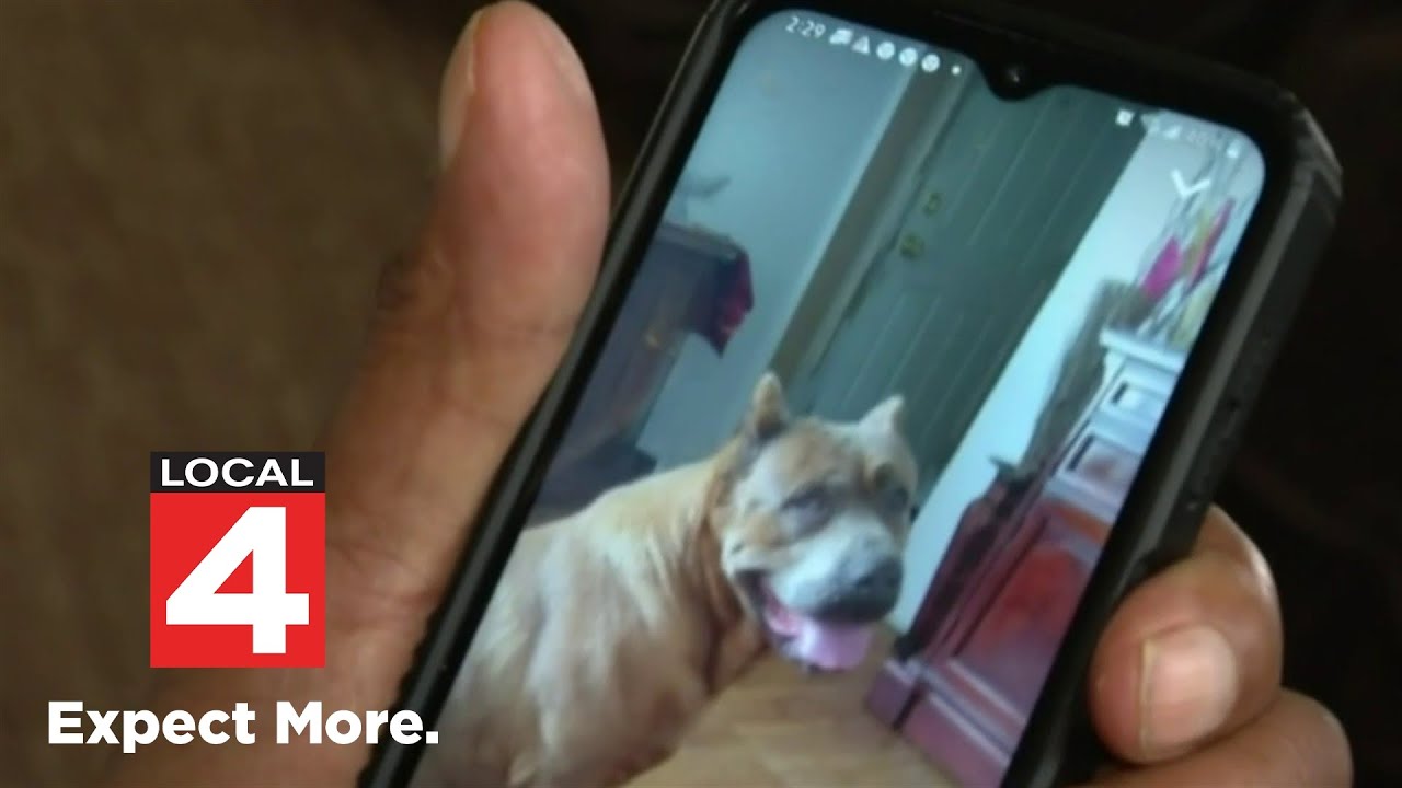 How death of one man’s pet illustrates issue with Detroit police