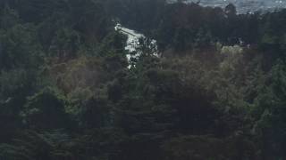 IMG 7490