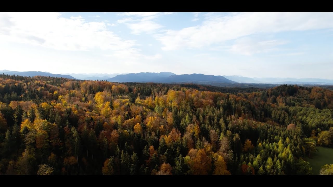 Waldruh Dietramszell