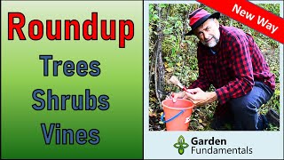 Precision Vine, Shrub & Tree Killer  using Roundup and the new cut & paint method